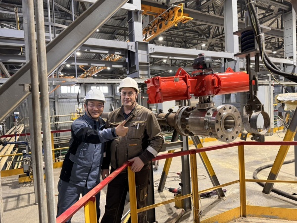 進口工業閥門的應用領域